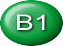 B1